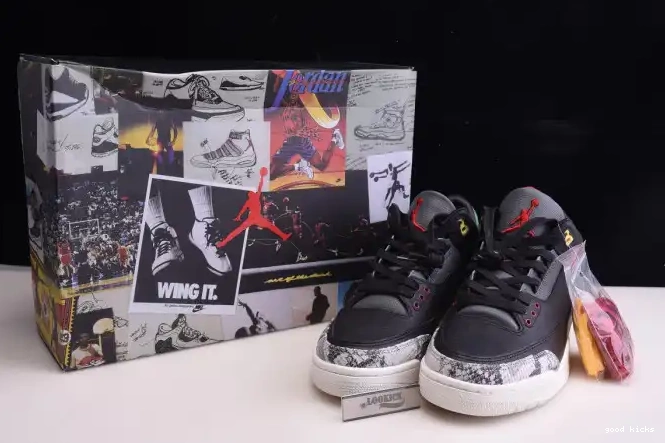 Rep Air Retro 3 Animal SE CV3583-003 Jordan 2.0 Instinct - 0512